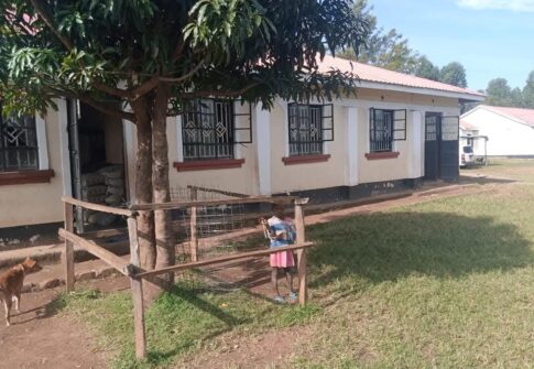 Community Health & Maternal Care